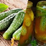 كيفية تغطية الخيار بالكاتشب الحار لفصل الشتاء: 3 وصفات لا تضاهى كيفية تغطية الخيار بالكاتشب الحار لفصل الشتاء: 3 وصفات لا