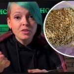 كيفية اختيار السماد الأخضر ومفاجأة جيرانك بالحصاد: قدم البستاني نصيحة فعالة كيفية اختيار السماد الأخضر ومفاجأة جيرانك بالحصاد: قدم البستاني نصيحة