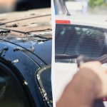 لن تعبث الطيور بالسيارات بعد الآن: إليك ما عليك فعله لن تعبث الطيور بالسيارات بعد الآن: إليك ما عليك فعله