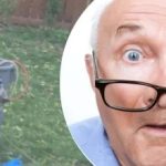 اكتشاف غريب بالقرب من شجرة ترك الجارة في حيرة من