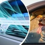 ضربت الحرارة أوكرانيا: كيفية تبريد الجزء الداخلي للسيارة بسرعة دون