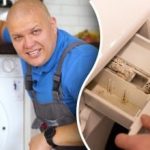 كيفية تنظيف الغسالة من العفن والرائحة: نصيحة الخبراء الرخيصة