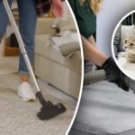 لن يترك أي أثر: 7 خطوات لإزالة رائحة البول من السجاد لن يترك أي أثر: 7 خطوات لإزالة رائحة البول من