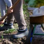 تقويم البذر لشهر سبتمبر 2025: ما يجب القيام به في